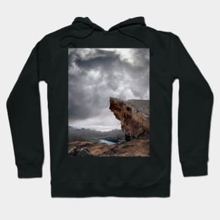 Grey Mountains Hoodie